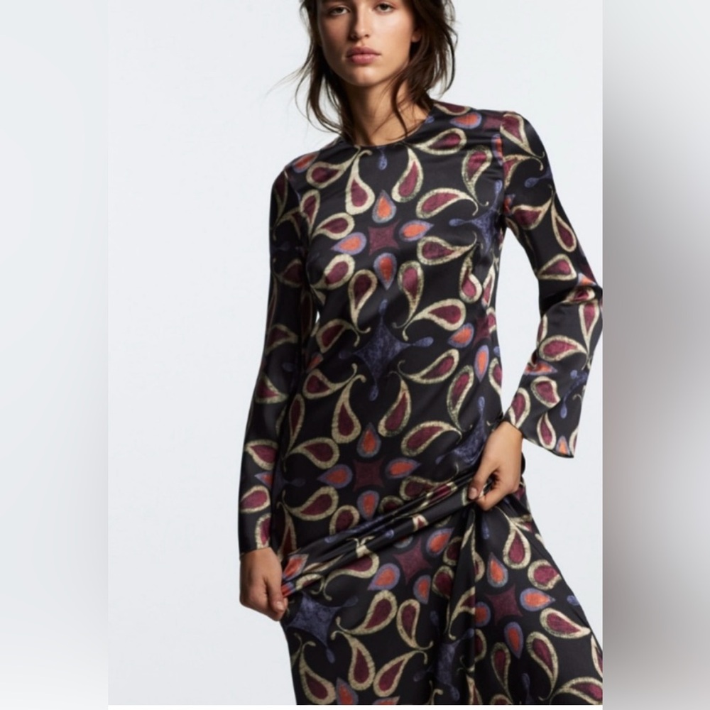 Zara Printed Ling Sleeve Midi Dress